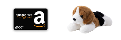 Gift card and beagle soft toy